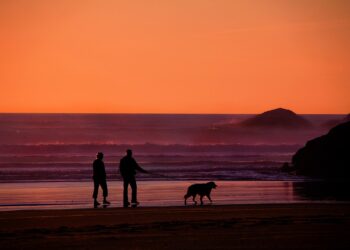 Mastering Your Retirement: A Step-by-Step Guide to Financial Freedom