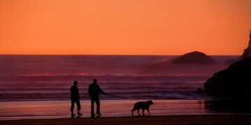 Mastering Your Retirement: A Step-by-Step Guide to Financial Freedom