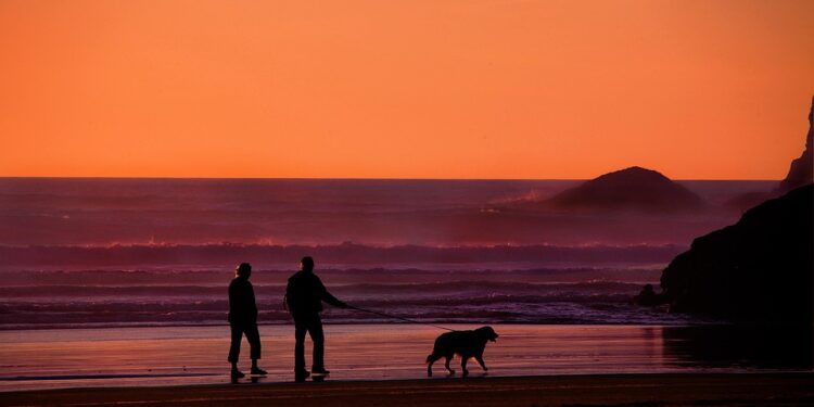 Mastering Your Retirement: A Step-by-Step Guide to Financial Freedom