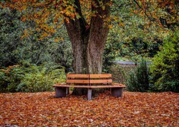 Maximizing Your Retirement: Strategic Withdrawal Strategies for Financial Freedom