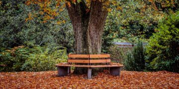 Maximizing Your Retirement: Strategic Withdrawal Strategies for Financial Freedom