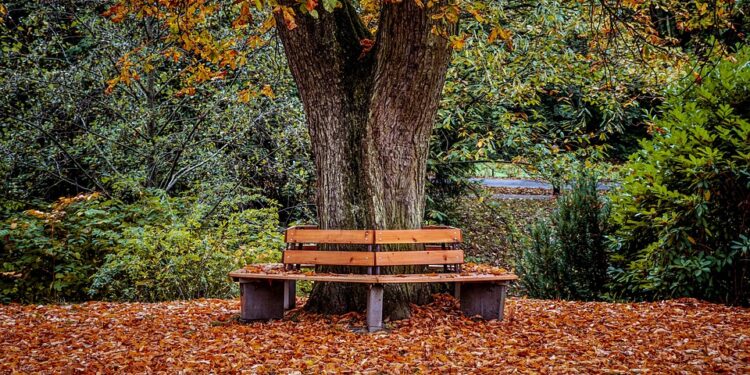 Maximizing Your Retirement: Strategic Withdrawal Strategies for Financial Freedom