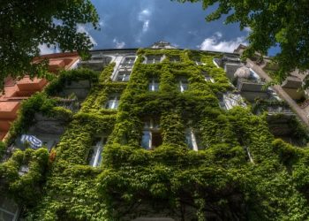 Mastering the art of stock investment: Strategies for success in the market