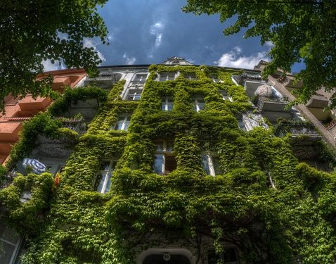 Mastering the art of stock investment: Strategies for success in the market