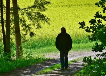 Maximizing Your Retirement: Effective Withdrawal Strategies for Financial Freedom