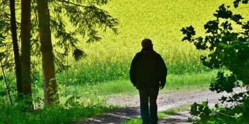 Maximizing Your Retirement: Effective Withdrawal Strategies for Financial Freedom