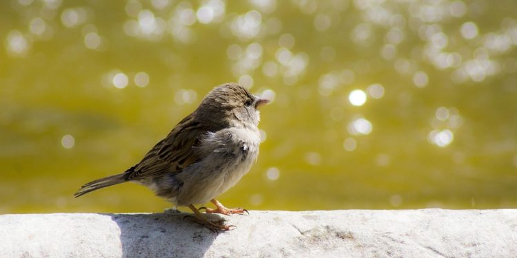 Mapping Your Path to Financial Freedom: Achieving Your Retirement Planning Goals