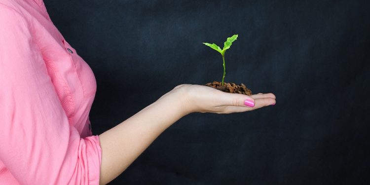 Unleashing the Power of Growth: A Guide to Successful Investing