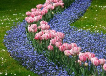 Unlocking Success: The Power of Diversification Strategy in Business Growth