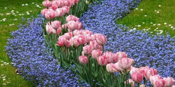 Unlocking Success: The Power of Diversification Strategy in Business Growth