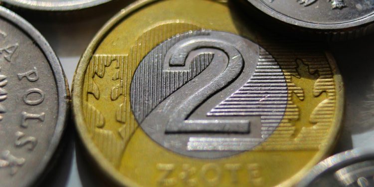 The Path to Financial Freedom: Mastering the Art of Financial Discipline