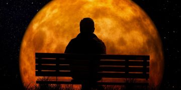 The Roadmap to Retirement: Navigating the Essential Steps for Financial Security