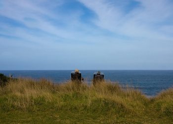 Maximizing Your Retirement Income: Expert Strategies for Withdrawal Success